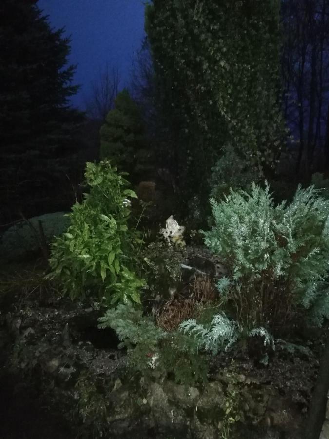 Holiday Home Tin Ogulin Bagian luar foto